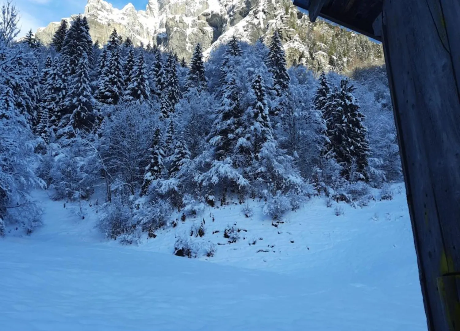 Chalet La Corne Du Chamois Sixt 0*,  Frankrike